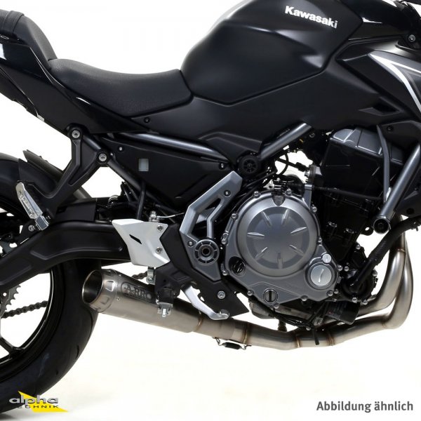 ARROW Auspuff PRO-RACE für Kawasaki Z650 / Ninja 650 2017-2020, Edelstahl (Nur mit ARROW Krümmer)